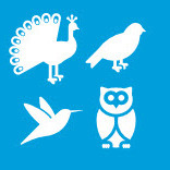 Team Page: Culture Club